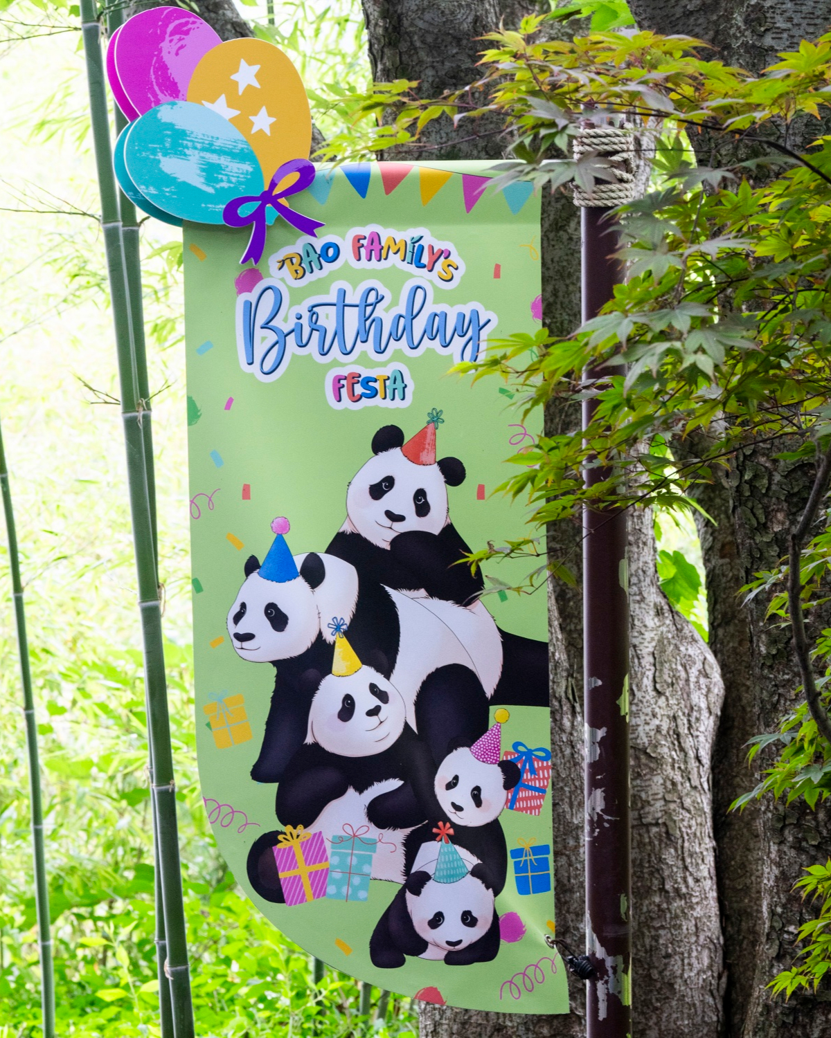 The Bao family are given the royal panda treatment at Everland