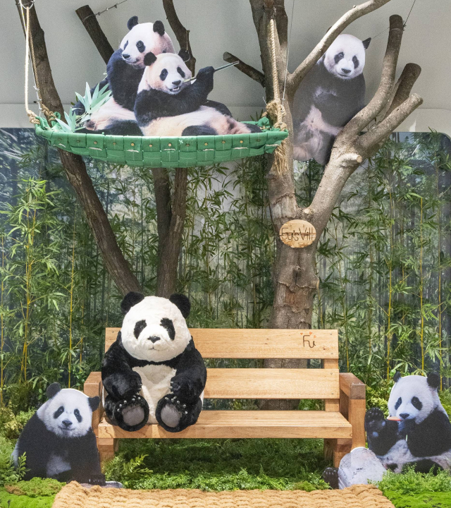 A delightful panda exhibit in a theme park museum dedicated to Fu Bao the panda with images and items from when she lived at Everland.