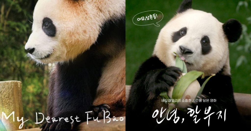 A close-up of Fu Bao, South Korea’s first native-born giant panda, eating bamboo, with the phrase "Aunts and Uncles!" in a speech bubble above her. The film title, My Dearest Fu Bao, is displayed at the bottom.