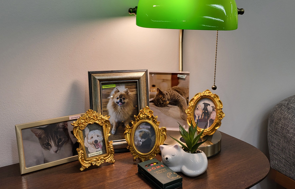 A close up of images of staff members' pets at Samsung C&T's Sydney branch. The images consist of dogs and cats in gold and silver frames that have a vintage feel to them. Each image is labelled with the animal's name and its owner.