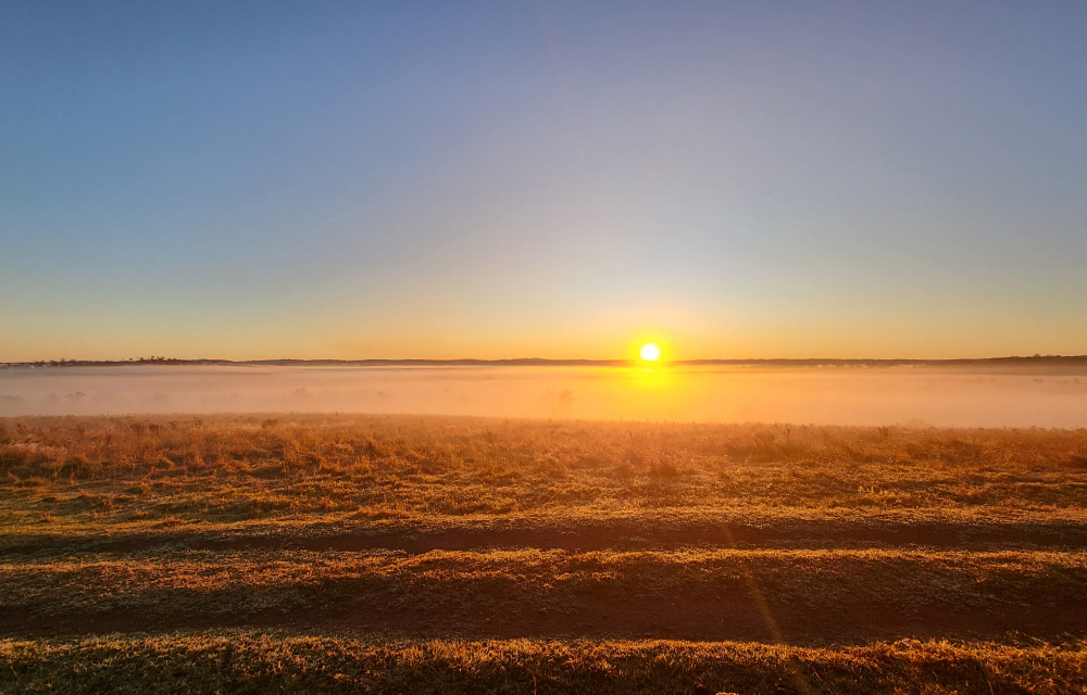 The sun rises over a lake creating a vivid gradient in the sky, in the foreground is a patch of grass.