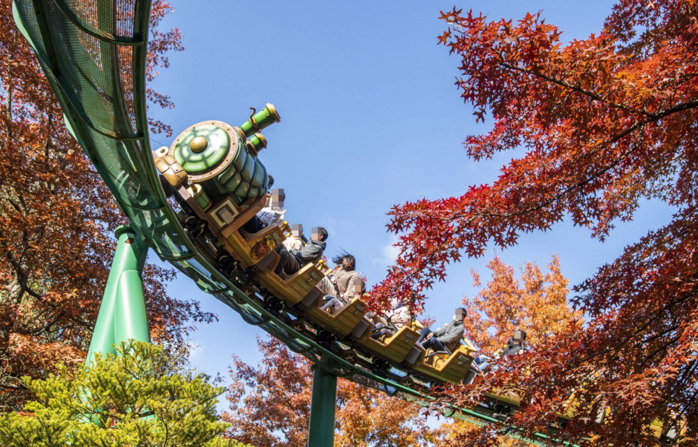 A children’s roller coaster comes around a sharp bend with a train that looks like a real train, in the background are beautiful red autumn trees at Everland Resort in South Korea owned by Samsung C&T Resort Group.