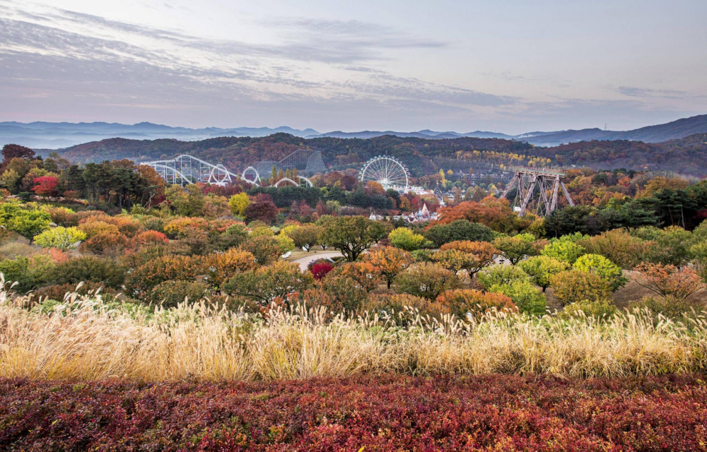 A wide landscape image overlooking Korea’s Everland Resort in the fall. The image looks down at the park from up high with autumnal trees and shrubbery in the foreground in a range of reds, greens, oranges, and yellows. In the background are mountains that extend into the distance, and the park’s roller coasters and attractions are visible in the center of the image.