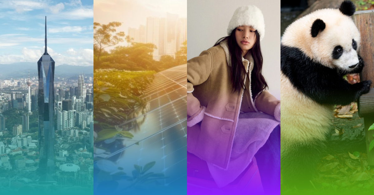 From left to right: a towering skyscraper in a sunny urban cityscape, a solar-powered sustainability scene with greenery and modern architecture, a fashion model posing indoors in a shearling coat and gloves, and a close-up of a panda interacting with its wooden enclosure.