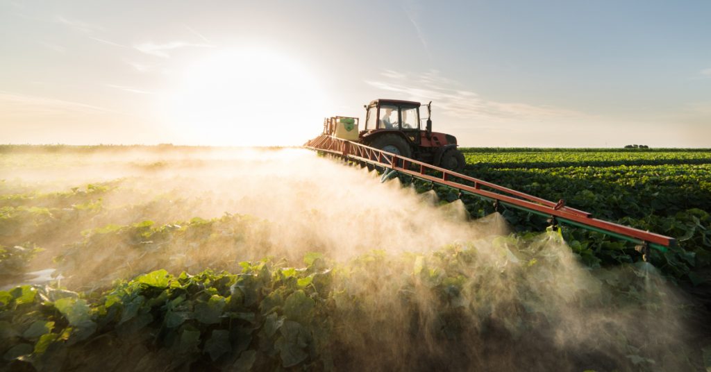 A farmer drives an agricultural sprayer that is spreading liquid fertilizer over the top of green plants in a vast field of crops with the sun shining in the background.