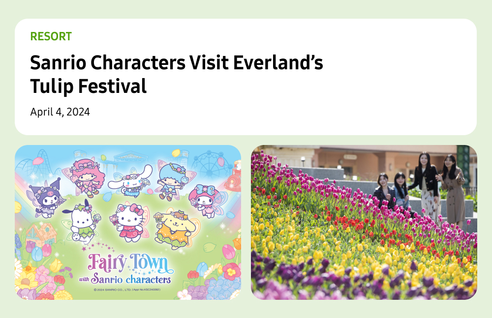 A colorful depiction of Everland’s tulip festival in the blog post "Sanrio Characters Visit Everland’s Tulip Festival" (Category: Resort). The images feature a vibrant tulip garden in full bloom with smiling visitors in the background, alongside playful Sanrio character branding with bright pastel designs, creating a whimsical and joyful atmosphere.