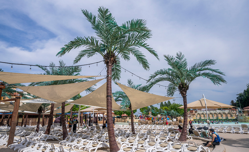 Empty lounge chair area under palm trees and shade sails near the pool at Caribbean Bay in South Korea.