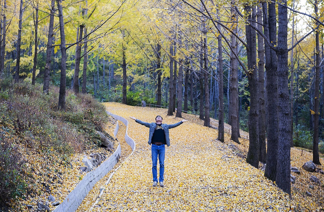 에버랜드, 비밀의 은행나무숲 산책 (2)