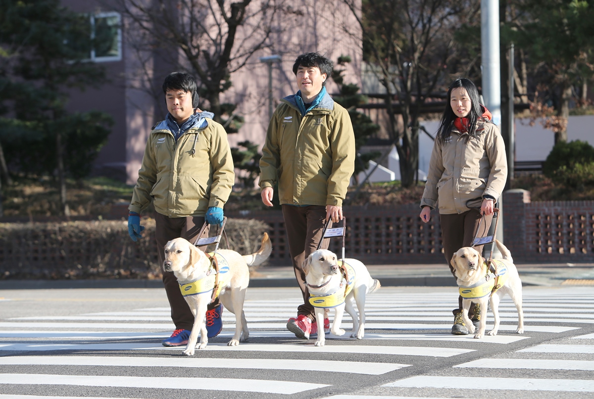 삼성물산, 안내견 기증 관련 사진2