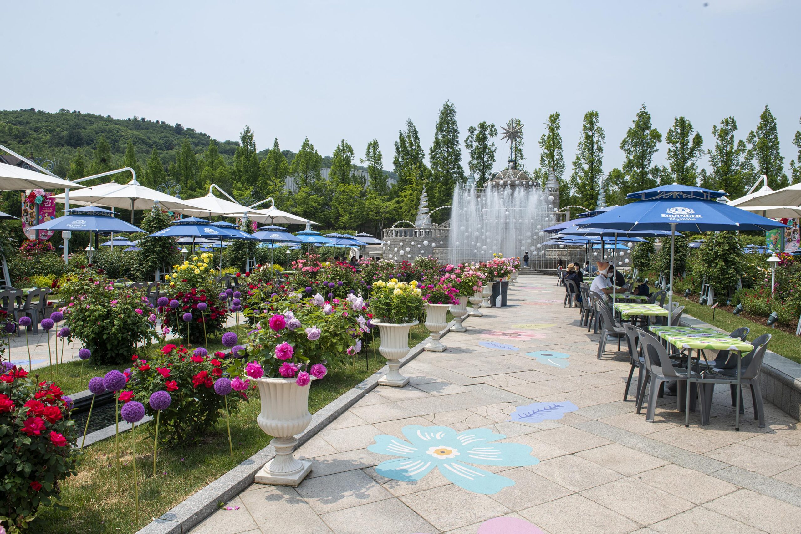 4d986045-9aa8-48ea-bbb6-fecf305c4bef.jpg