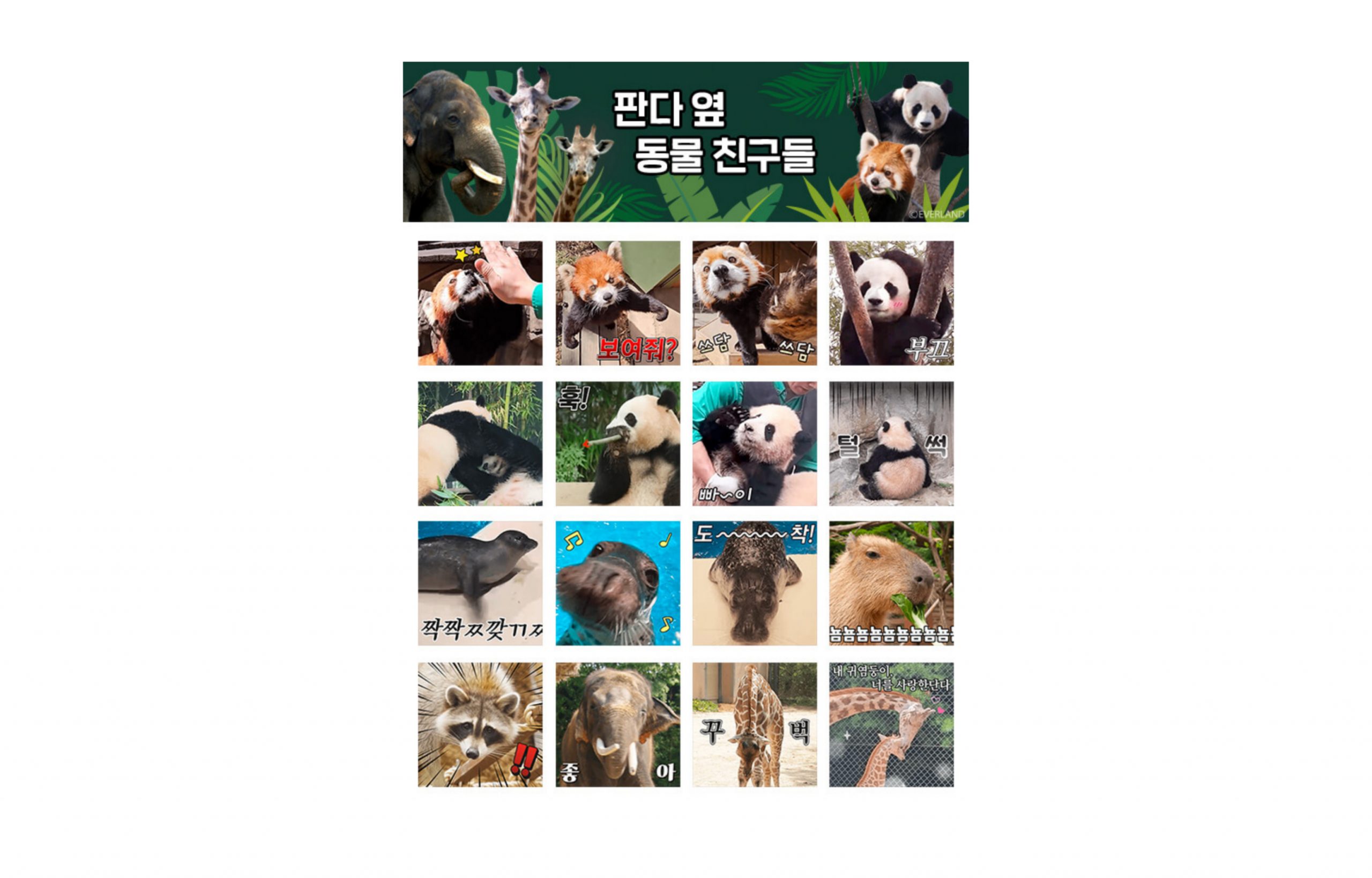 에버랜드 '판다 옆 동물친구들' 카카오 이모티콘 출시