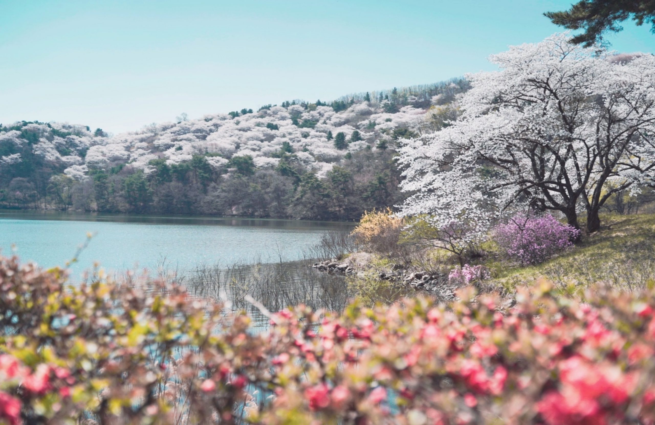 삼성물산, 에버랜드, 호암미술관, 가든패스