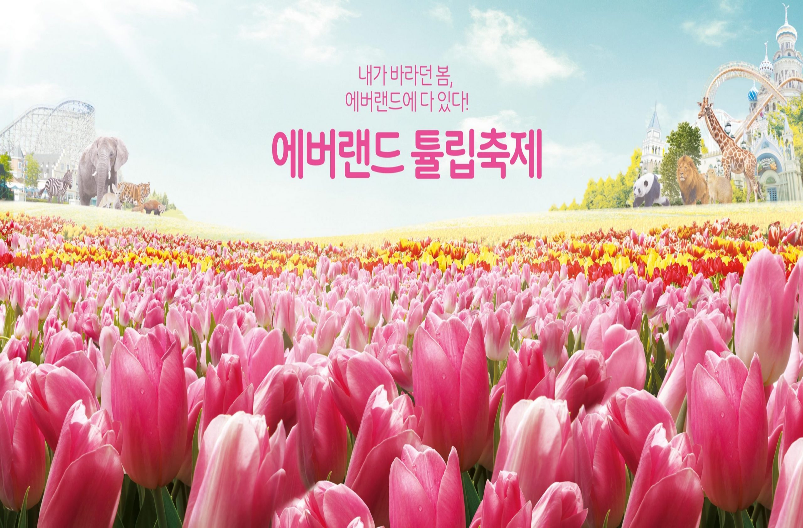 삼성물산, 에버랜드, 튤립축제