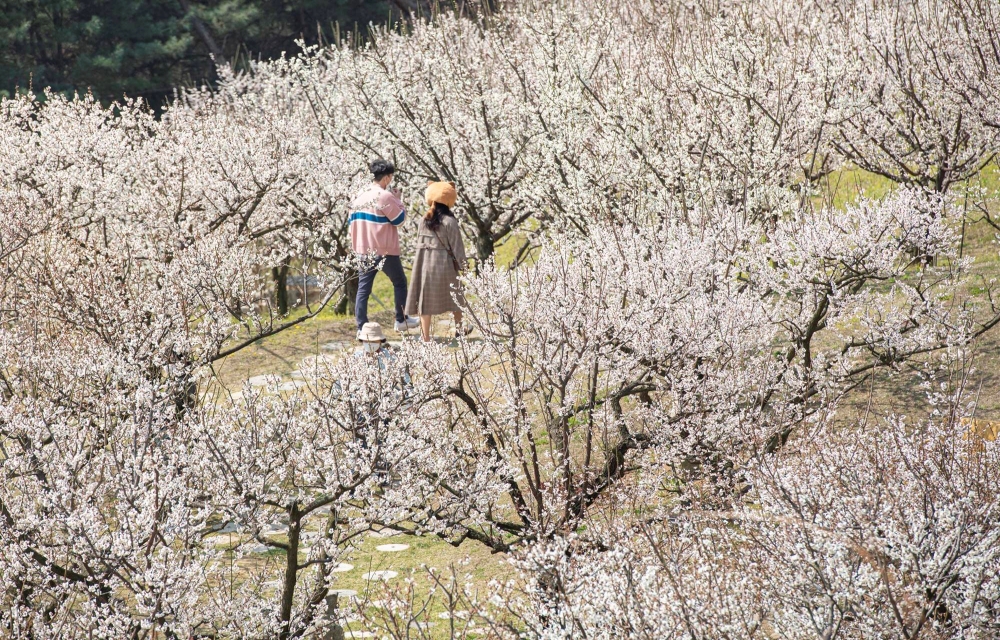 삼성물산, 에버랜드, 하늘정원길, 포시즌스가든