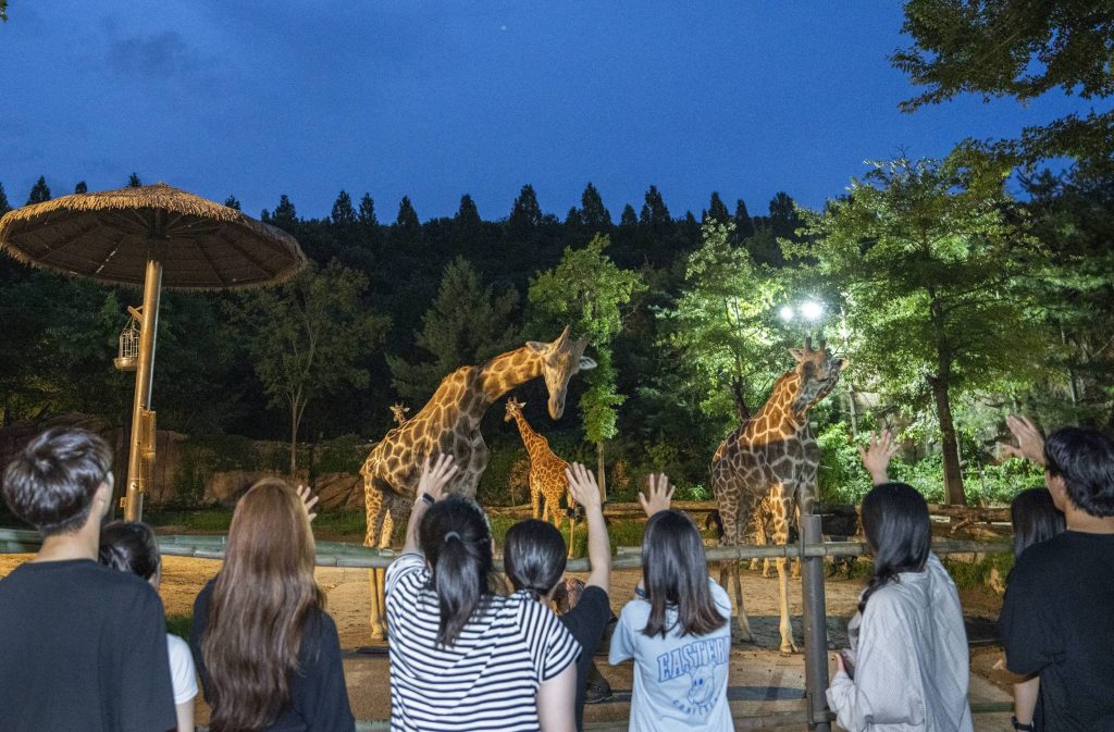 에버랜드 여름방학 동물 탐험