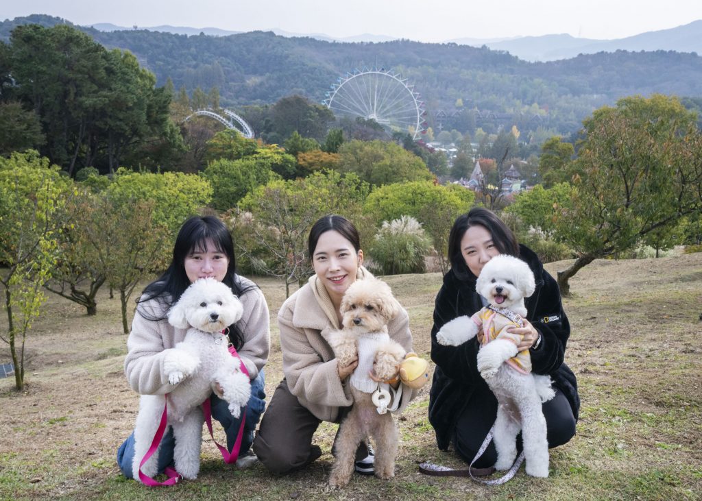 에버랜드 반려견과 함께 가을 산책 프로그램 진행