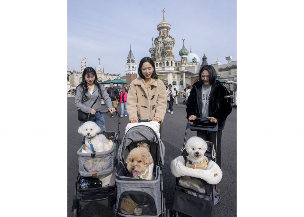 에버랜드 반려견과 함께 가을 산책 프로그램 진행