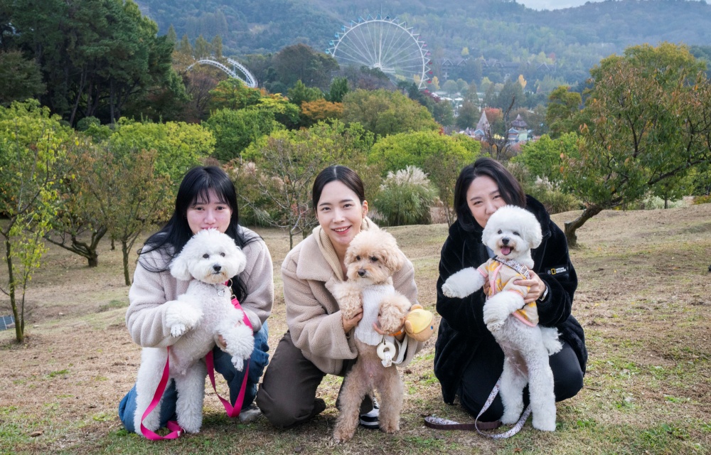 에버랜드 반려견과 함께 가을 산책 프로그램 진행