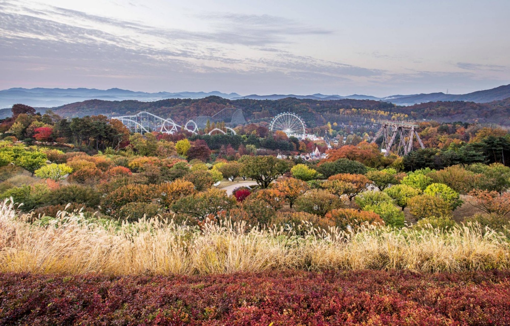 에버랜드, 가을 낭만 '3색 힐링 코스'