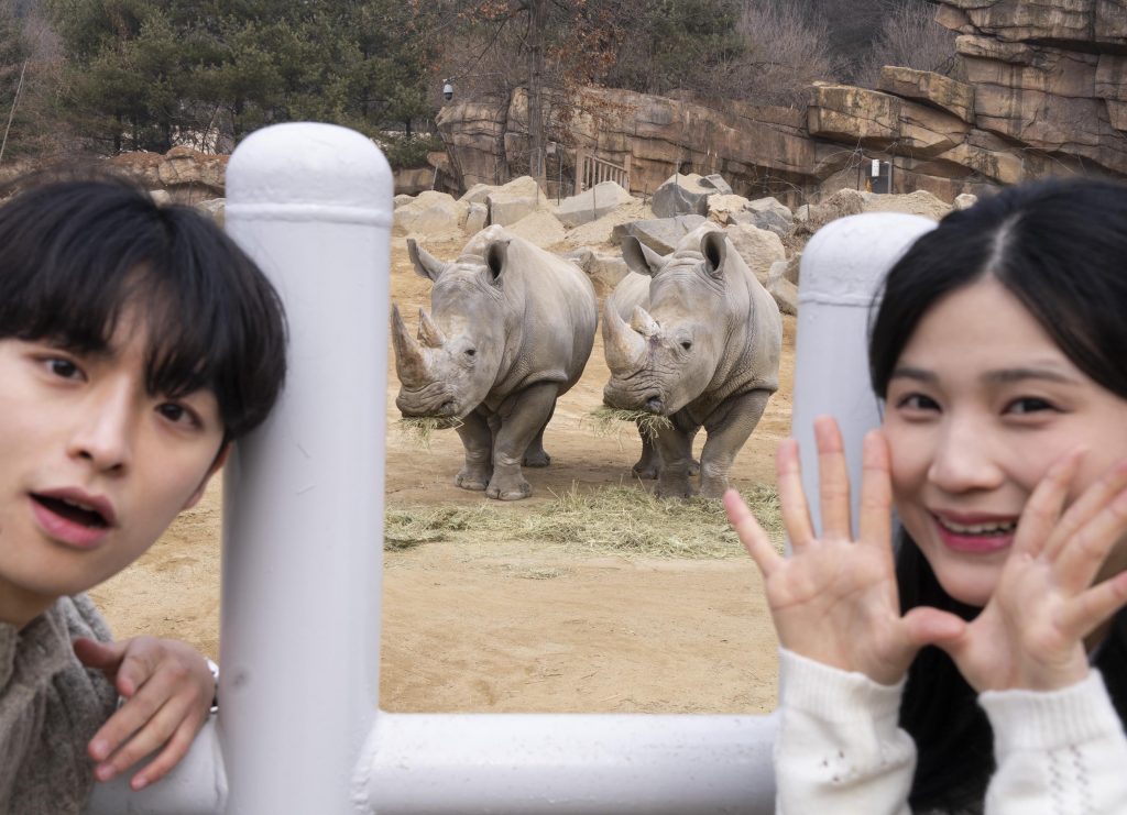 에버랜드 '로스트밸리 워킹 사파리'