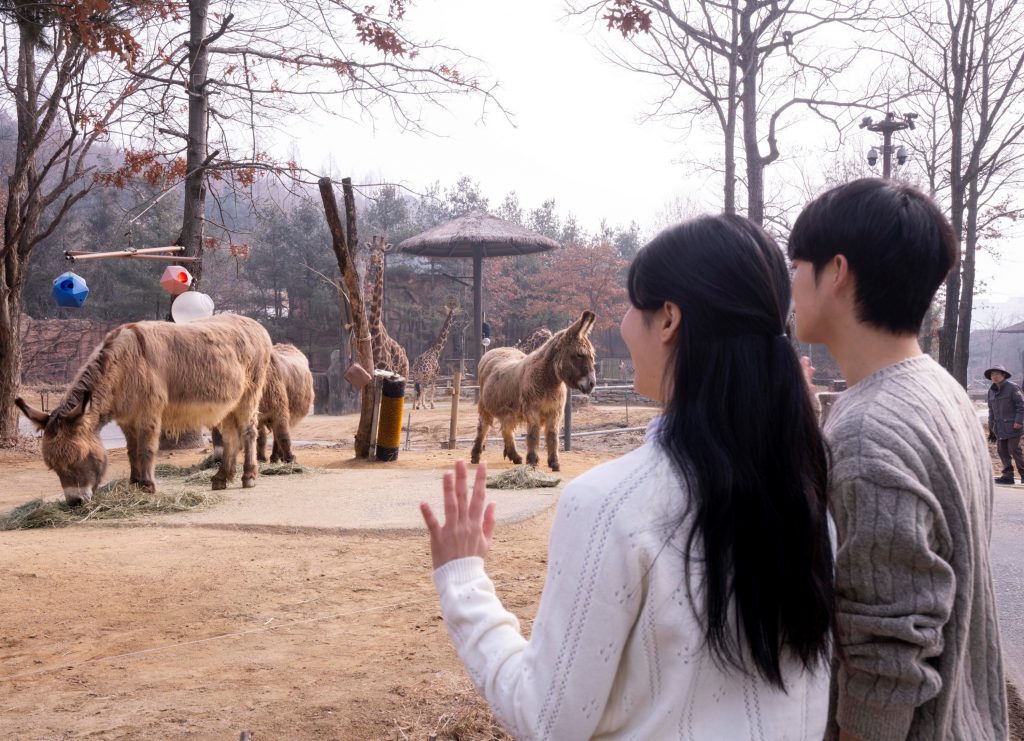 에버랜드 '로스트밸리 워킹 사파리'