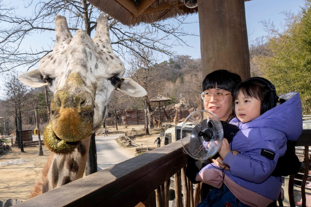에버랜드 이큐브스쿨 로스트밸리 기린