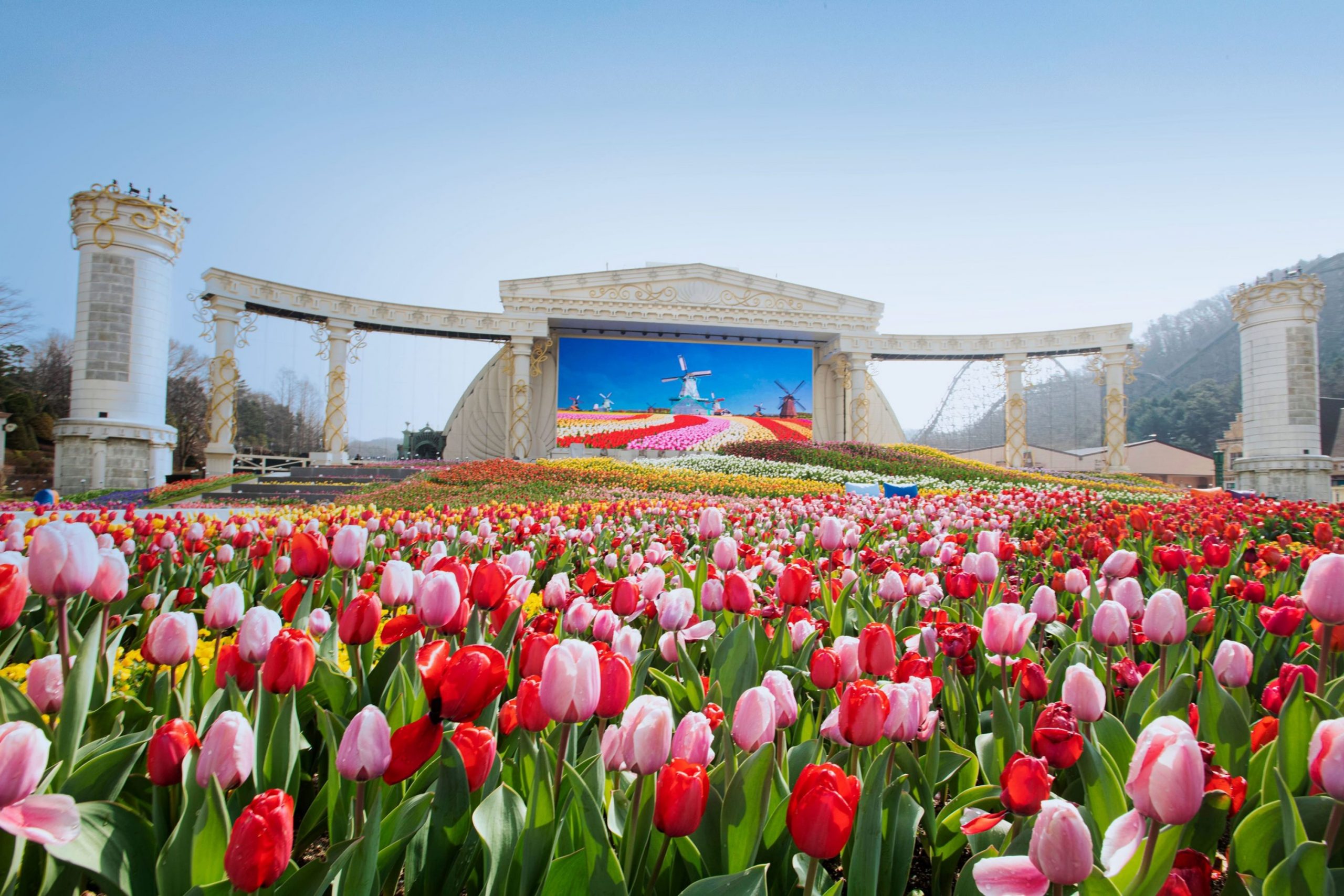 에버랜드 인피니티 튤립가든