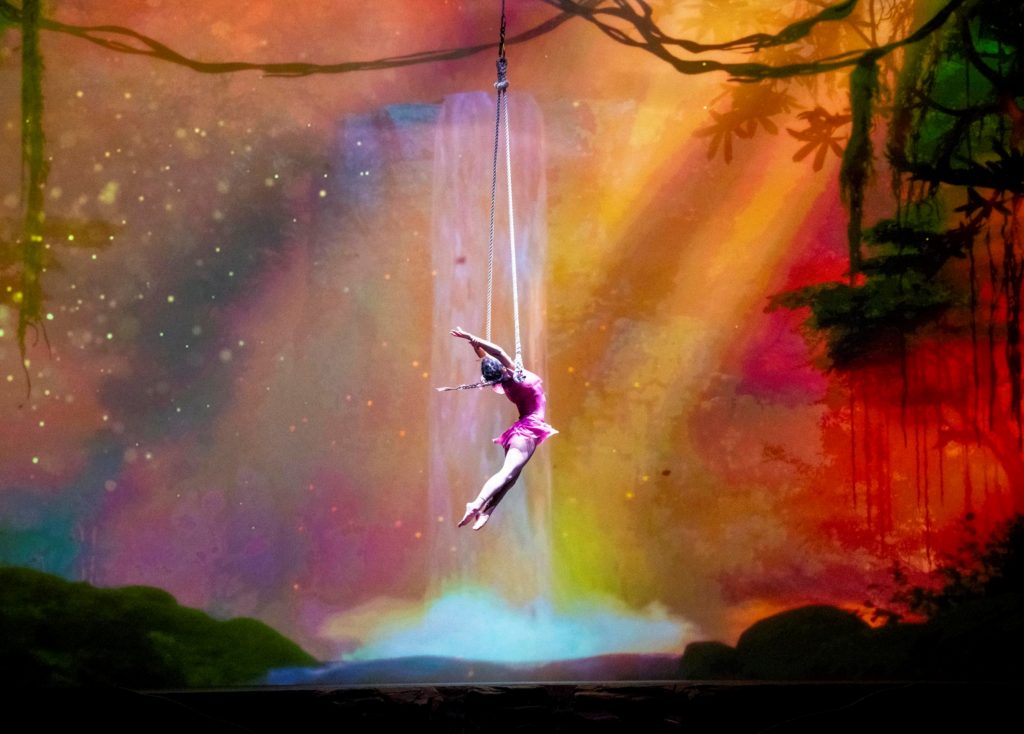 에버랜드, 서커스 '윙즈 오브 메모리' 공연