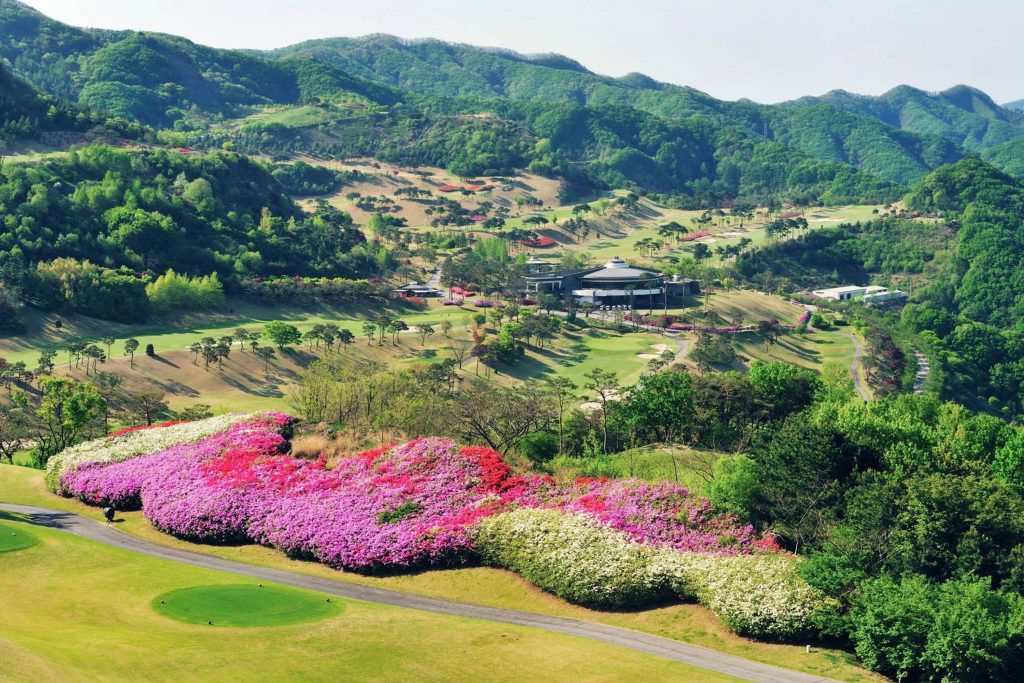 안성베네스트 GC