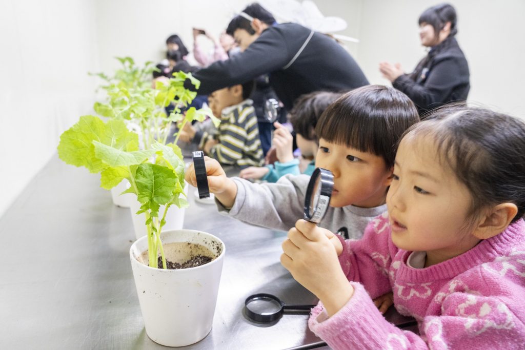 에버랜드 이큐브스쿨 나비 알