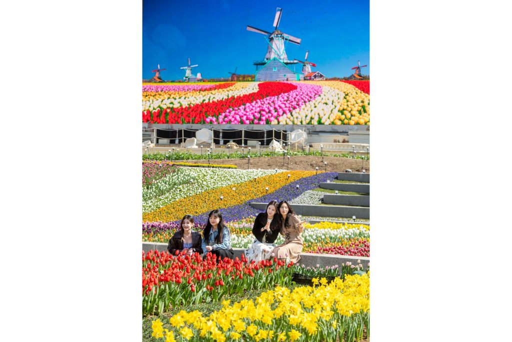 에버랜드 인피니티 튤립가든