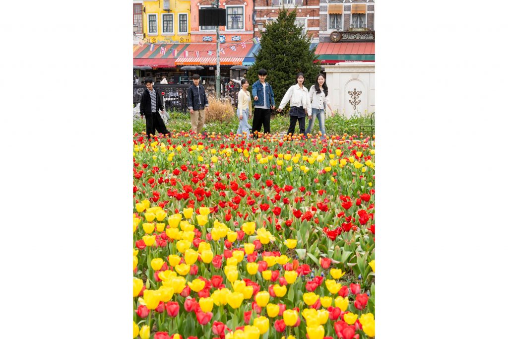 튤립축제가 진행 중인 포시즌스가든