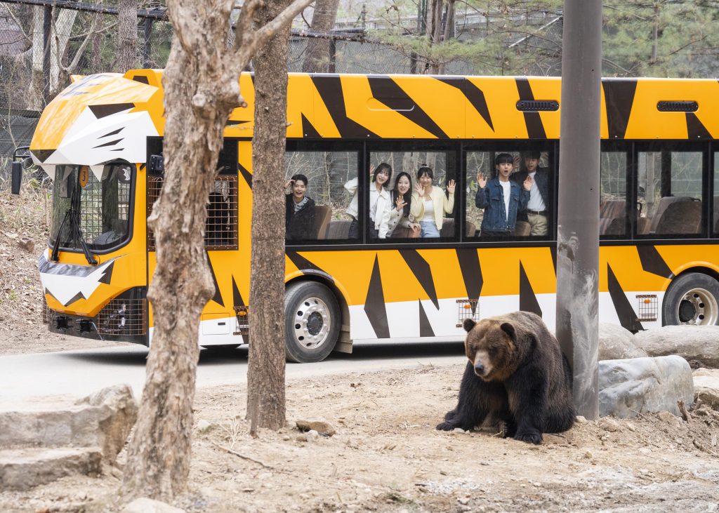 에버랜드 뉴 사파리 월드
