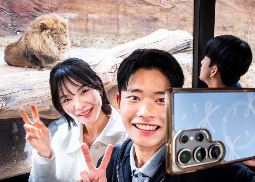 에버랜드 뉴 사파리 월드