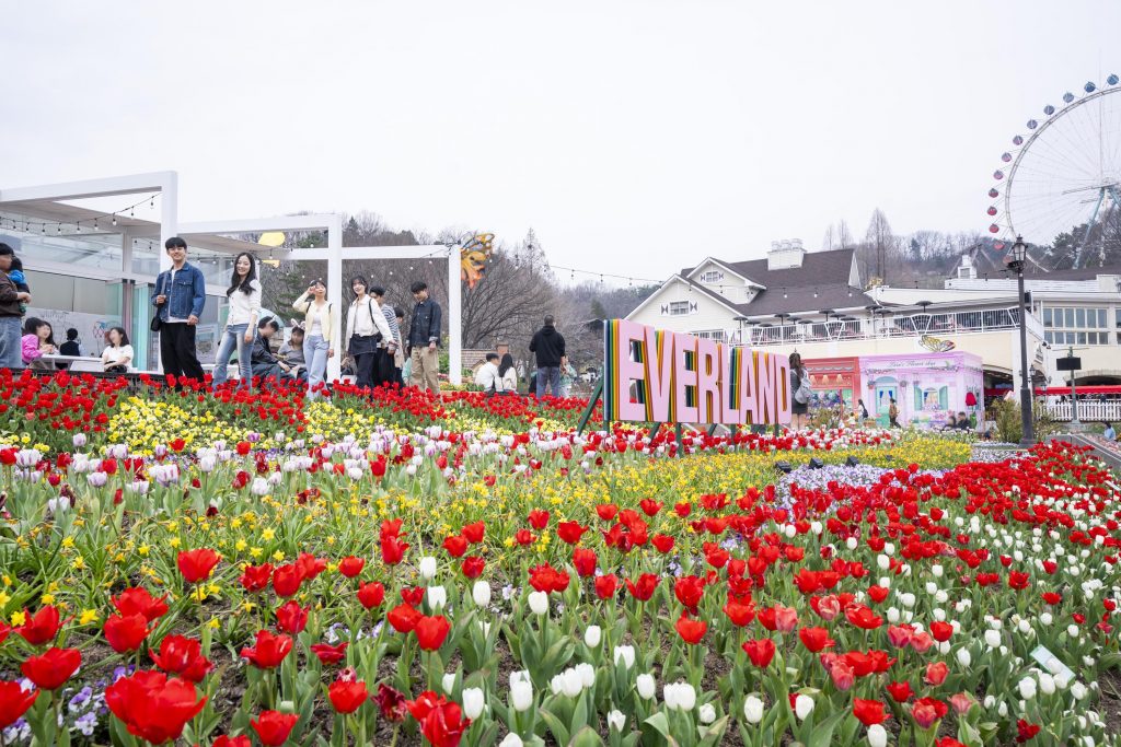 에버랜드 포시즌스가든 튤립축제