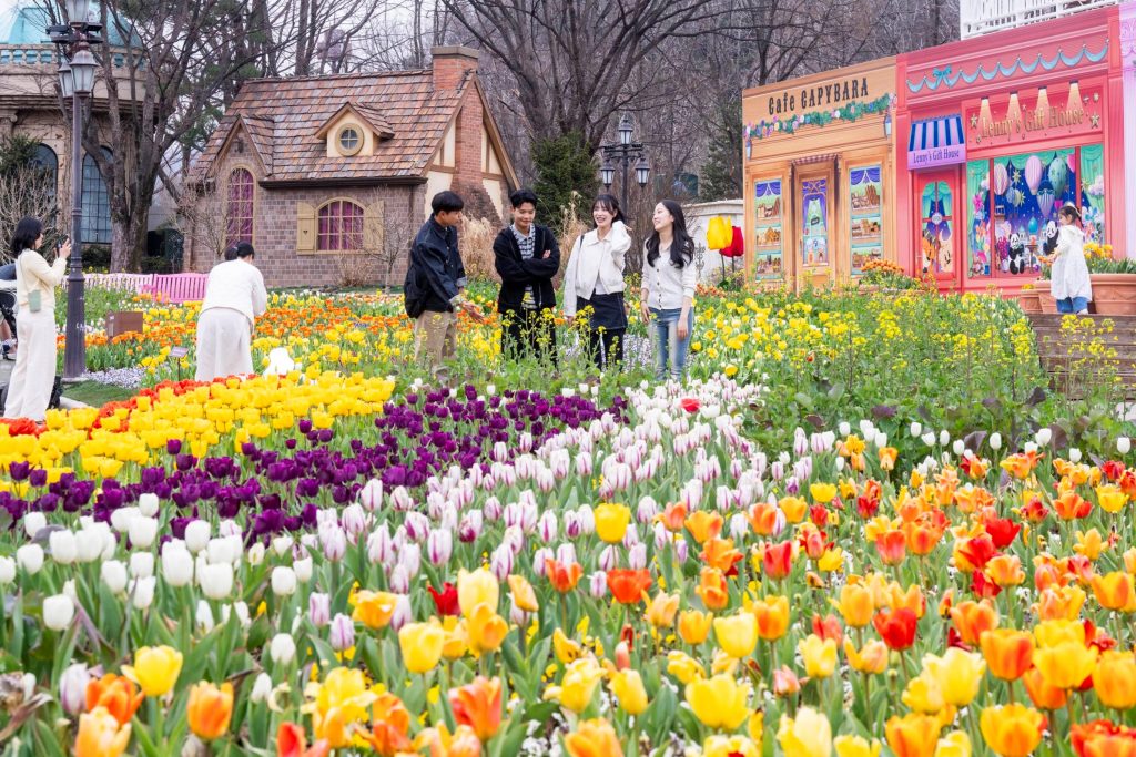 에버랜드 포시즌스가든 튤립축제