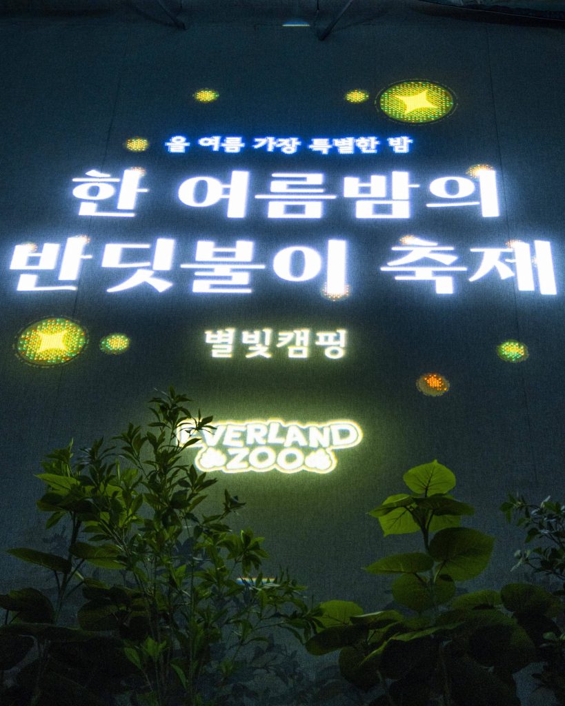 한여름밤의 반딧불이 축제'