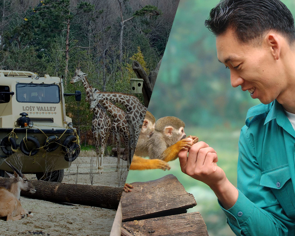 Zookeeper