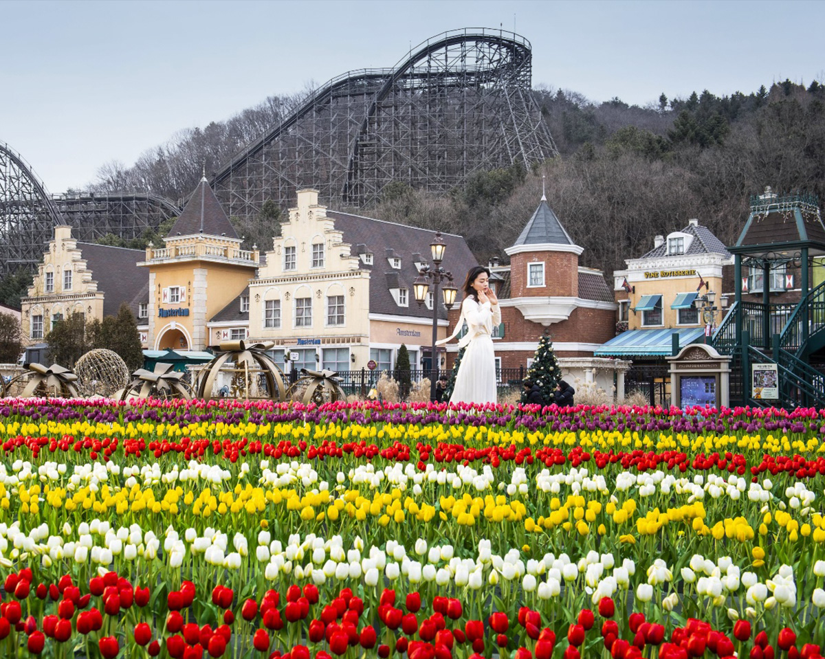 Tulip Festival