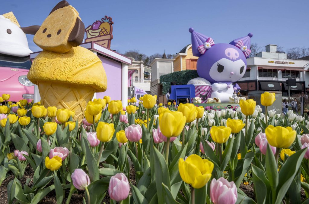 Cute animal characters are displayed in a field of tulips at an annual Tulip Festival held at South Korea’s Everland Resort. The popular Sanrio Character Kuromi is in the background next to theme park restaurants and buildings.