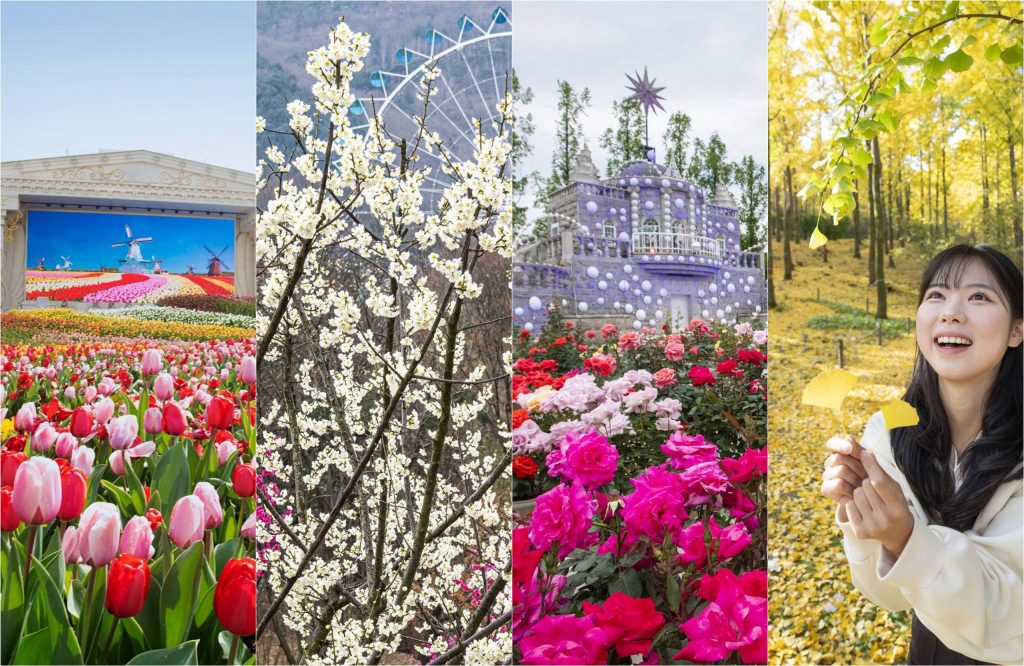 A collage of four seasonal garden scenes at Everland: a tulip field with a Dutch windmill backdrop in spring, white plum blossoms with a Ferris wheel in the background, a rose garden with a fairytale castle in summer, and a young woman smiling while holding golden ginkgo leaves in an autumn forest.