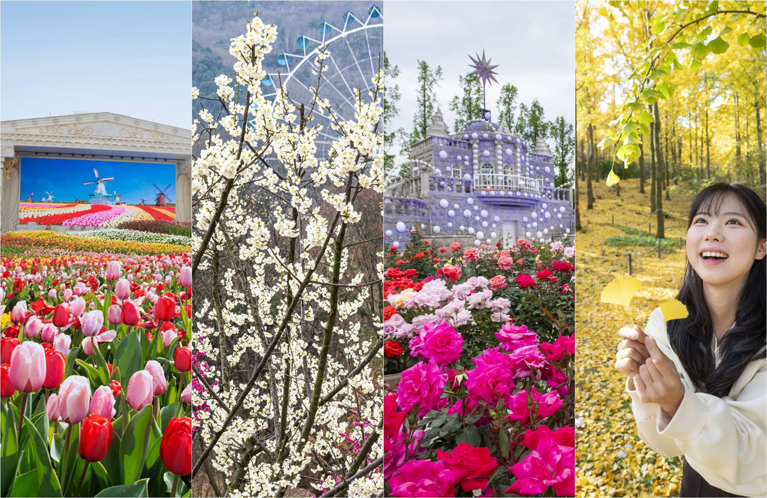 A collage of four seasonal garden scenes at Everland: a tulip field with a Dutch windmill backdrop in spring, white plum blossoms with a Ferris wheel in the background, a rose garden with a fairytale castle in summer, and a young woman smiling while holding golden ginkgo leaves in an autumn forest.