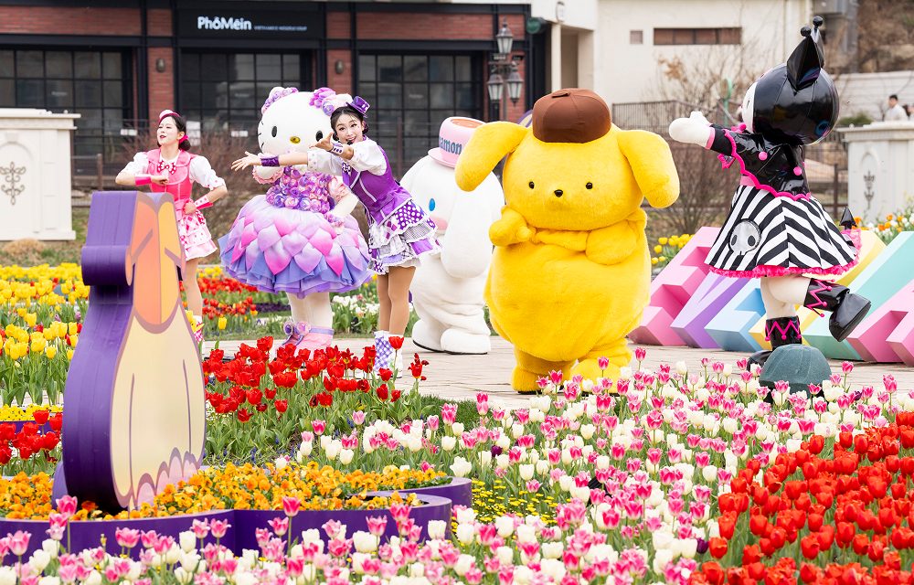 Hello Kitty, Pompompurin, Kuromi, and other Sanrio characters perform with dancers in front of vibrant tulip beds at Everland’s springtime Sanrio Characters Dance Time show.