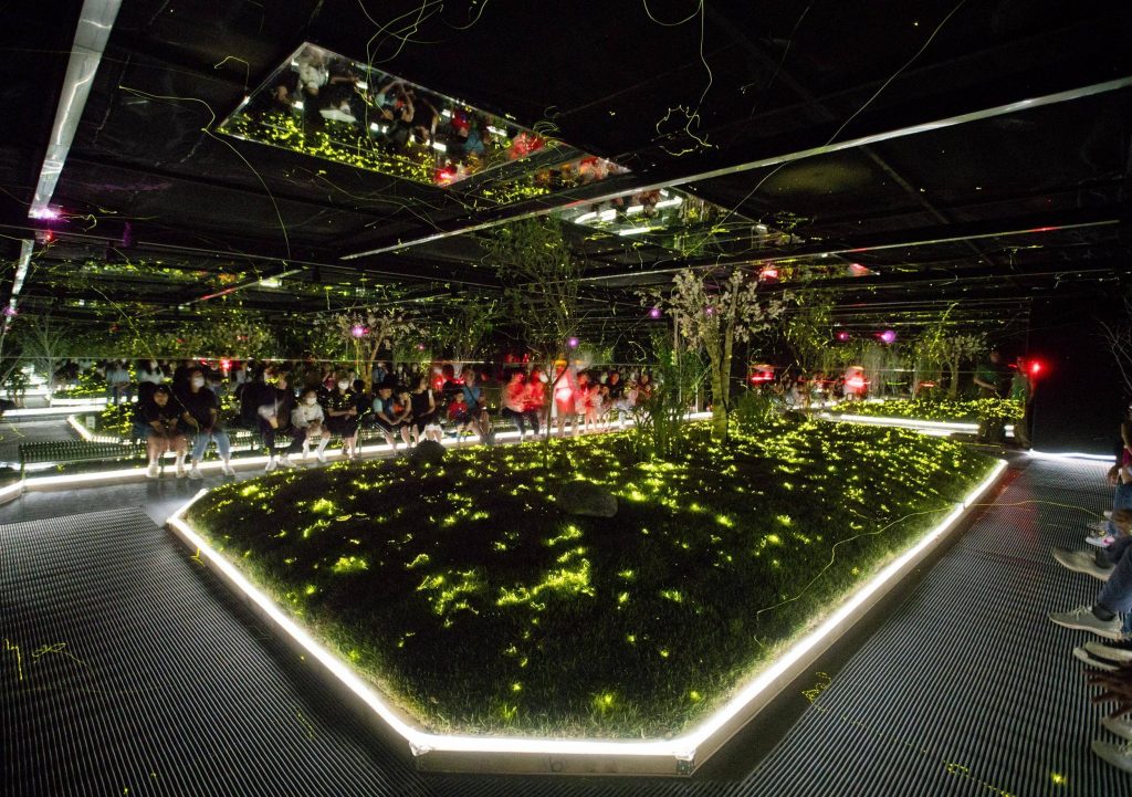 Visitors watch thousands of glowing fireflies inside Everland’s darkened firefly room, surrounded by reflective mirrors and greenery.