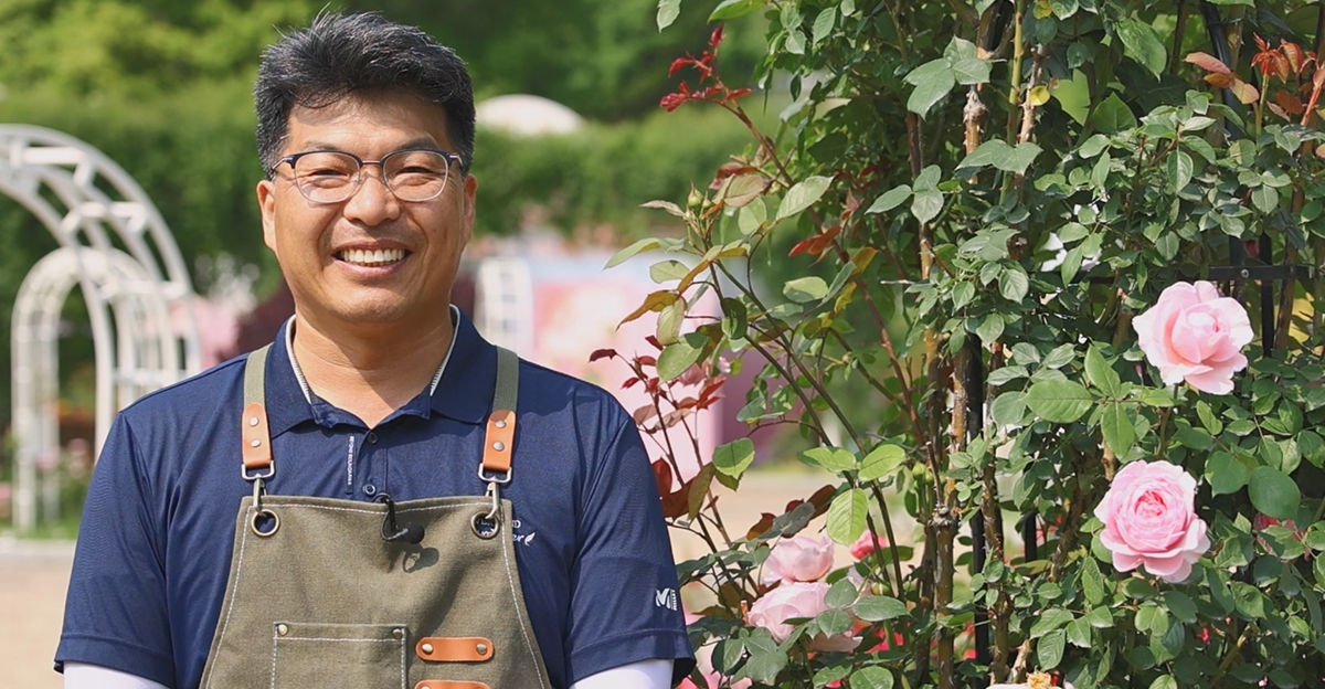 Ha Ho-soo, Everland’s rose breeder, standing beside blooming Pink Pastry roses in the Rose Garden, wearing a green apron and smiling outdoors on a sunny day.