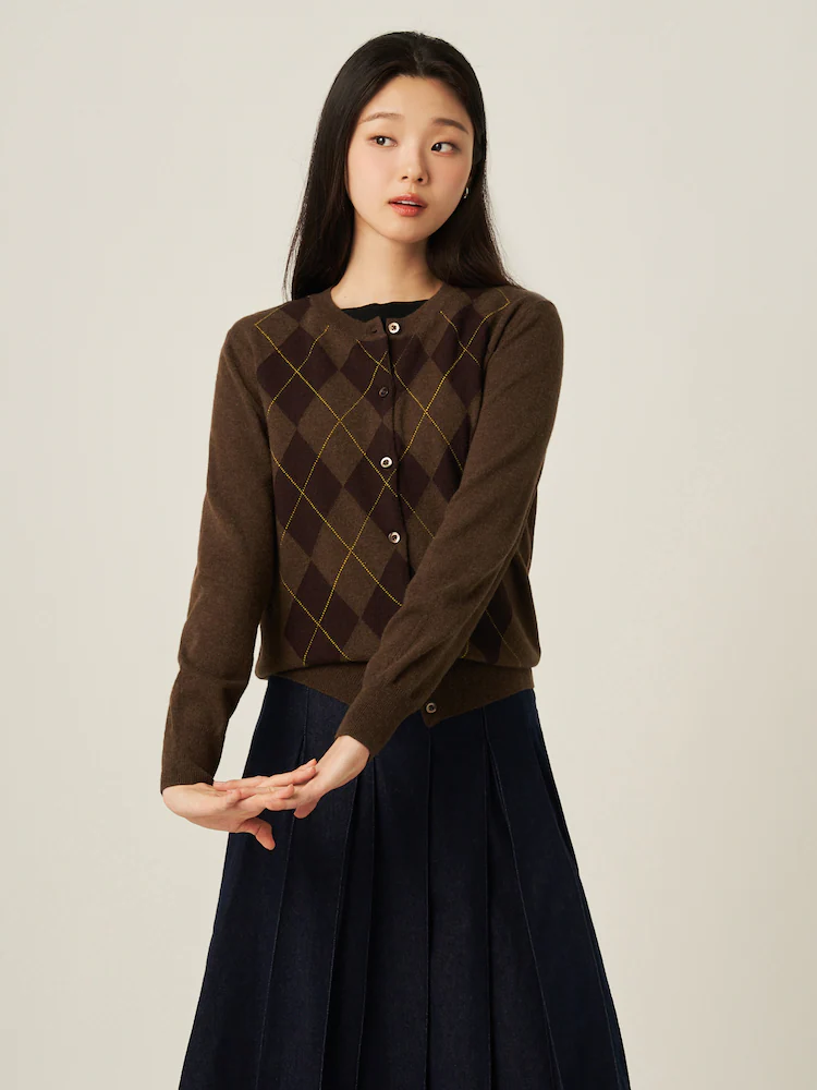Model wearing a brown argyle knit cardigan and navy pleated skirt, styled in a preppy autumn look