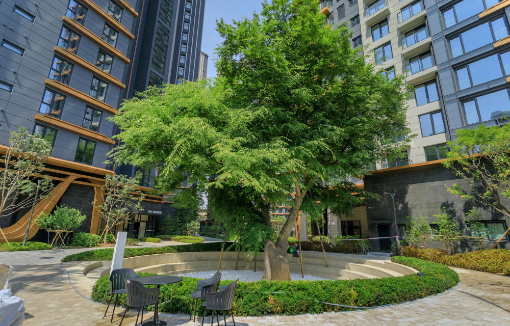 A large zelkova tree surrounded by circular seating and greenery in the courtyard of Raemian One Pentas.