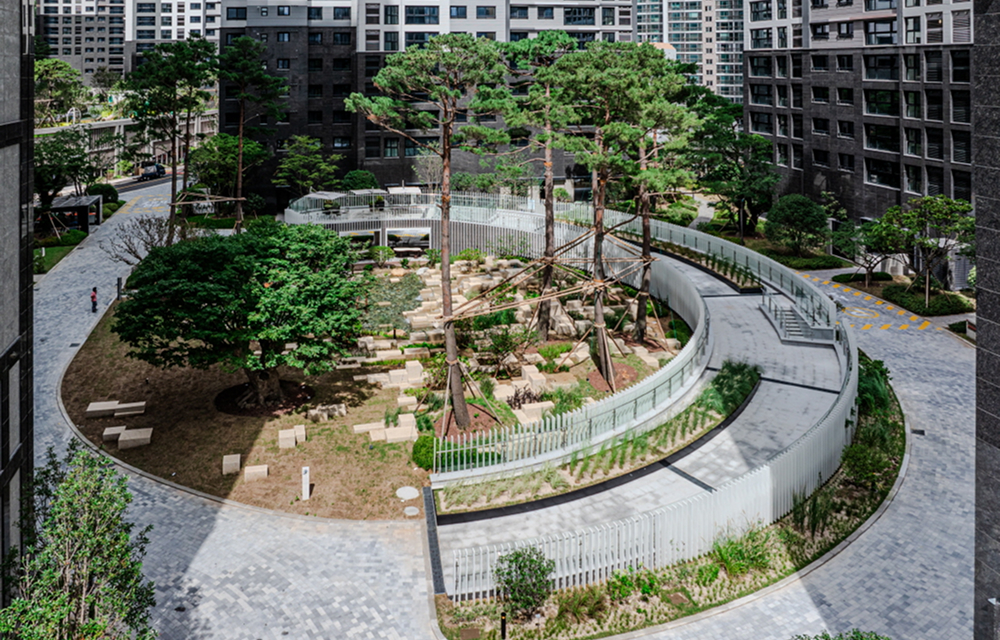 A circular garden space at Raemian Forestige featuring pine trees, stone arrangements, and pathways inspired by local natural heritage.