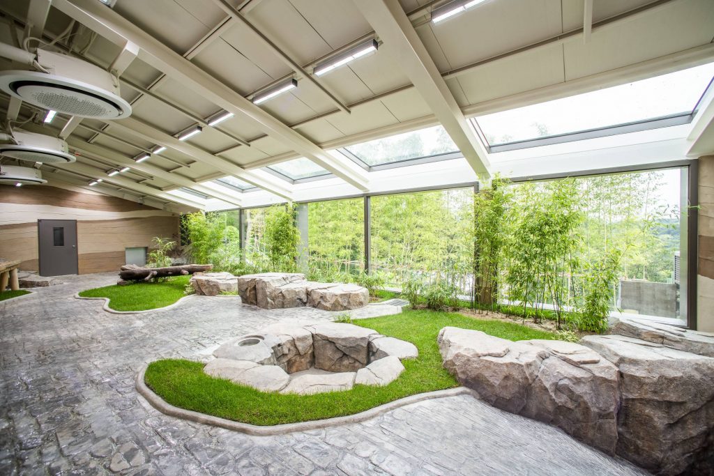 A glass-roofed indoor enclosure at Everland’s Panda Second House with bamboo, rocks, and grass patches.