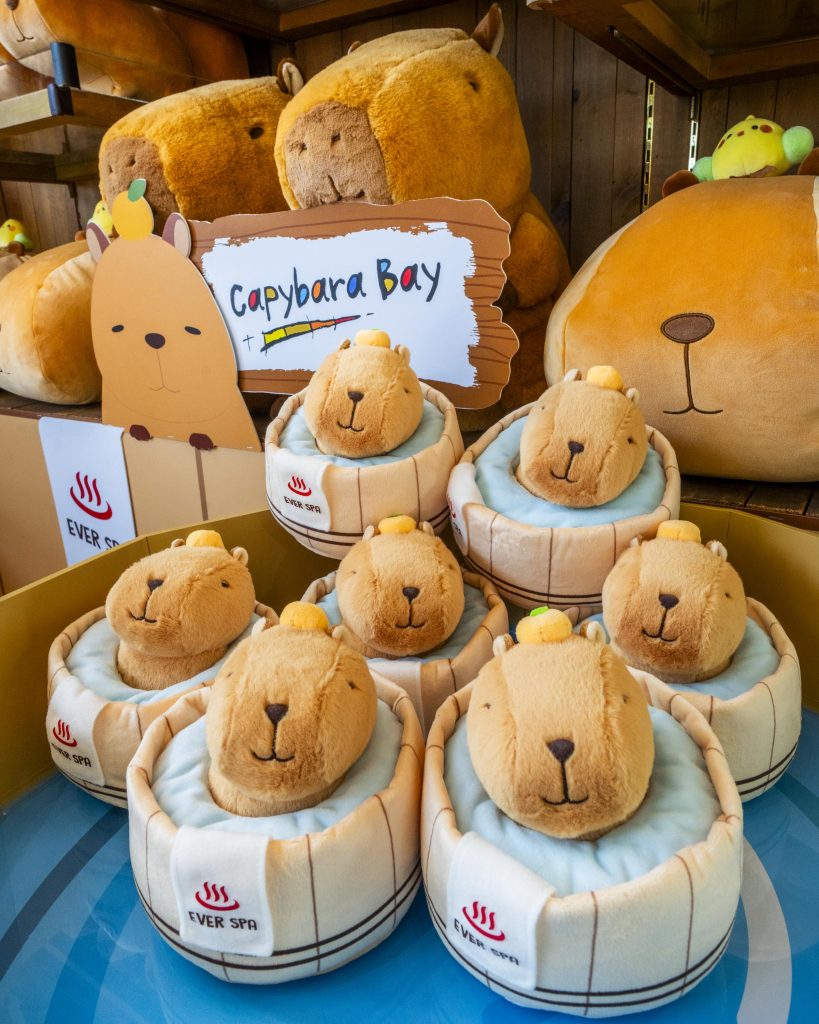 A display of plush capybara toys dressed for a hot-spring theme at Caribbean Bay, arranged under a “Capybara Bay” sign with larger plush figures in the background.